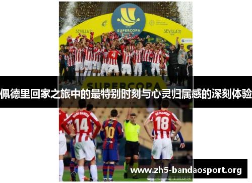 佩德里回家之旅中的最特别时刻与心灵归属感的深刻体验 佩德里回家之旅中的最特别时刻与心灵归属感的深刻体验