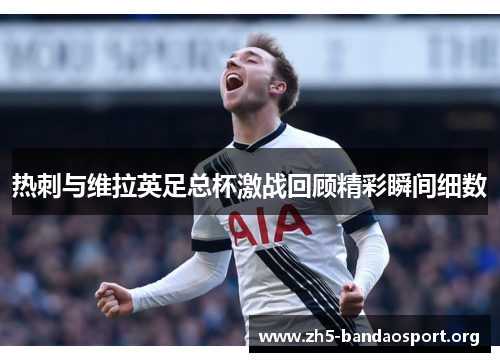 热刺与维拉英足总杯激战回顾精彩瞬间细数 热刺与维拉英足总杯激战回顾精彩瞬间细数