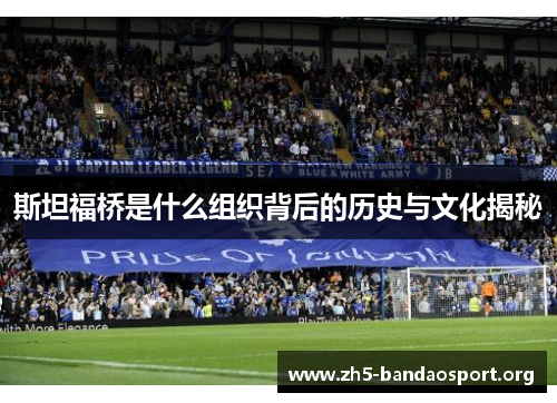 斯坦福桥是什么组织背后的历史与文化揭秘 斯坦福桥是什么组织背后的历史与文化揭秘