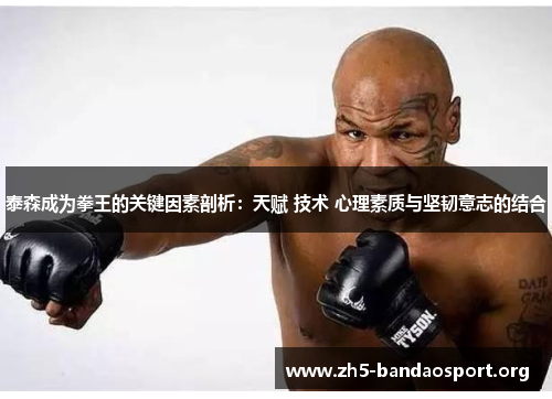 泰森成为拳王的关键因素剖析:天赋 技术 心理素质与坚韧意志的结合 泰森成为拳王的关键因素剖析:天赋 技术 心理素质与坚韧意志的结合