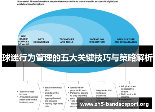 球迷行为管理的五大关键技巧与策略解析 球迷行为管理的五大关键技巧与策略解析