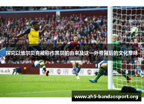 探究以维尔贝克被称作黑贝的由来及这一外号背后的文化意味